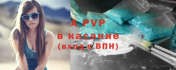 Альфа ПВП Новозыбков