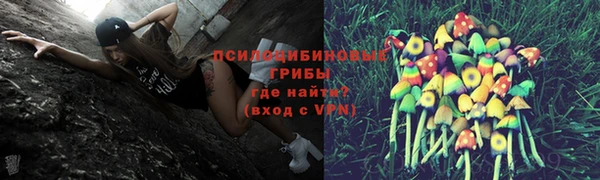 mdpv Новокубанск