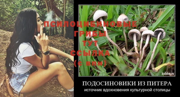 mdpv Новокубанск