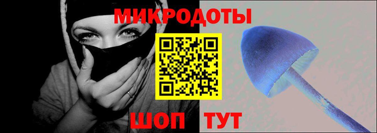 Галлюциногенные грибы мицелий Южно-Сахалинск
